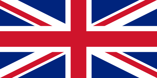 DVFB English