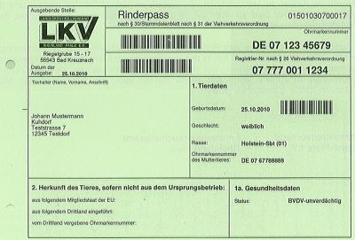 Stammdatenblatt LKV Rheinland-Pfalz mit BVD-Untersuchungsergebnis